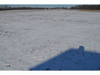 54.7 Acres with 50 tillable and 4.3 wooded.  Surrounded by heavy deer population on CRP land.  Great trophy deer hunting on established food plots.  Hunting tower.

Receive income on tillable acres while abundance of deer hunting on established food plot. - Great Investment Opportunity - Tillable Land, Recreation & Building Site